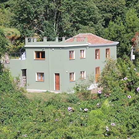 Гостевой дом Casa Fita En El Cubo De La Galga Пунтальяна Экстерьер фото
